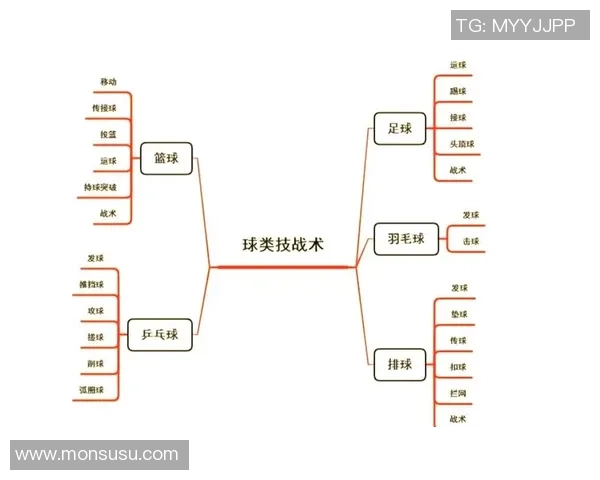杭州排球队的战术控制解析与未来发展展望