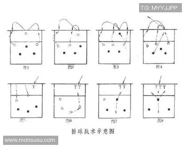 武汉排球队战术解析与对比深度剖析团队优势与不足 武汉排球队战术解析与对比深度剖析团队优势与不足