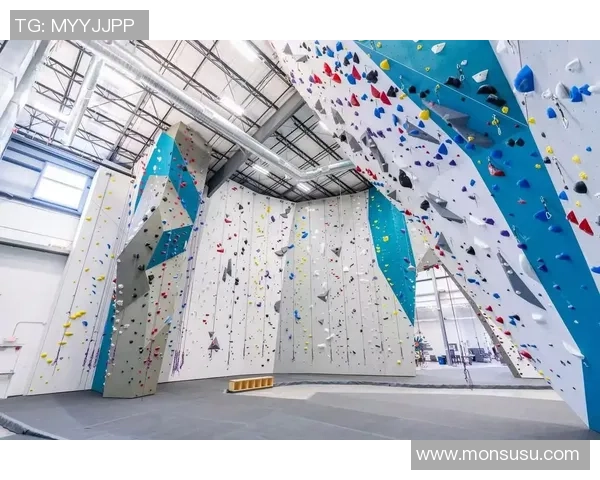 攀岩力量排行榜：北京攀岩队位居第2名