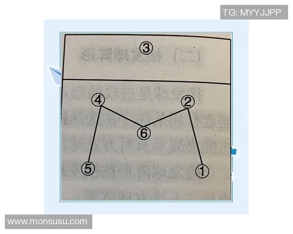 数据分析：南京排球队的战术表现